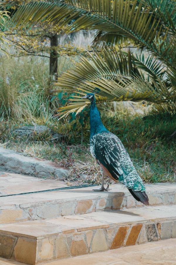Kajiado Saab Royale Resort מראה חיצוני תמונה